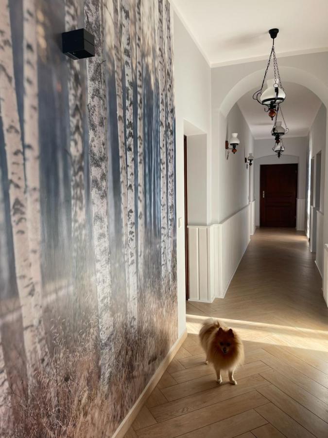 Lesniczowka Guest house